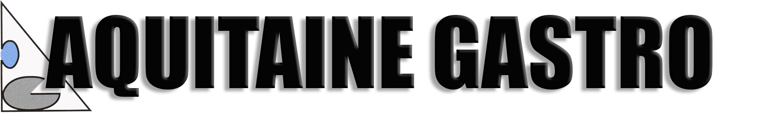 ASSOCIATION AQUITAINE GASTRO
