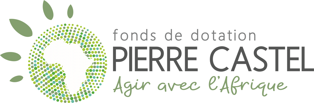FONDS DE DOTATION PIERRE CASTEL